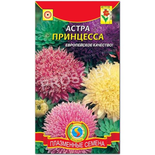 Астра Принцесса, смесь