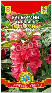 Бальзамин садовый Пепперминт