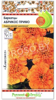 Бархатцы Абрикос примо