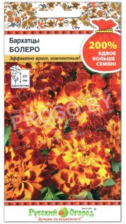 Бархатцы Болеро