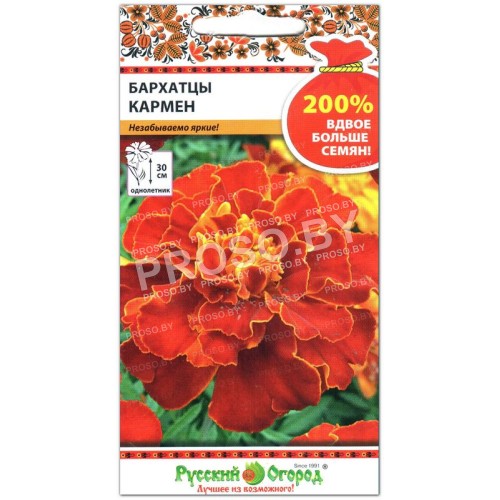 Бархатцы Кармен