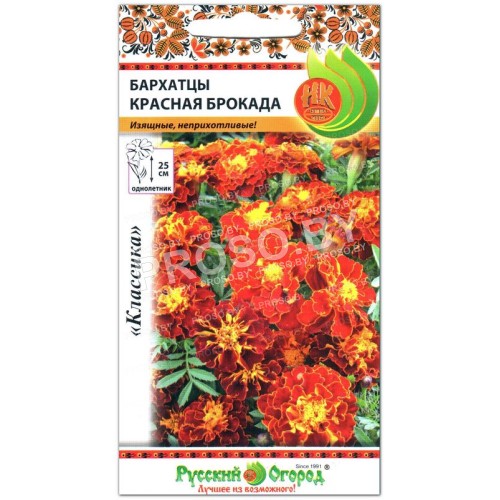 Бархатцы Красная Брокада