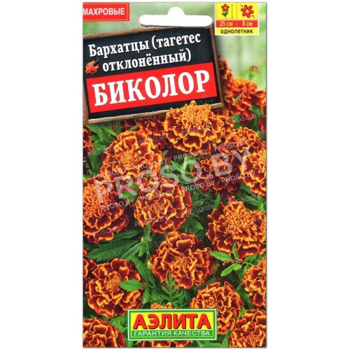 Бархатцы отклоненные Биколор-1