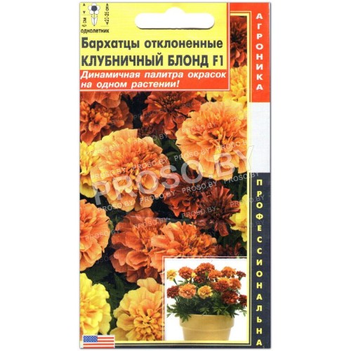 Бархатцы отклоненные Клубничный блонд F1