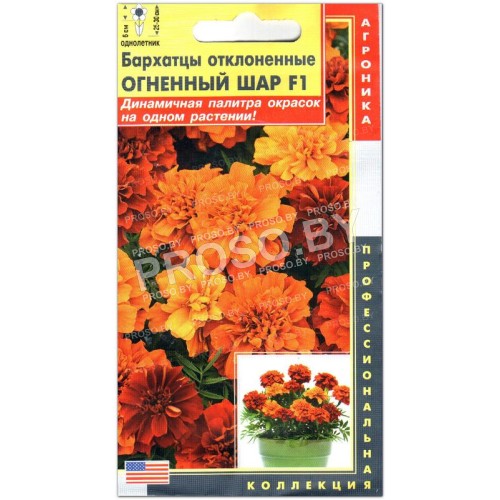 Бархатцы отклоненные Огненный шар