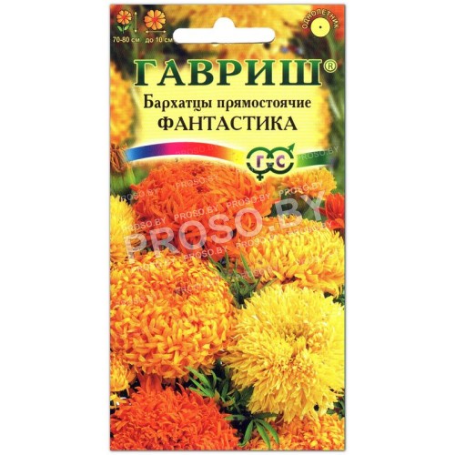 Бархатцы Фантастика-2