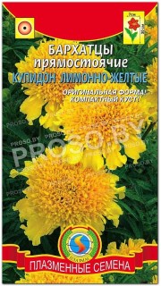 Бархатцы прямостоячие Купидон лимонно-желтые