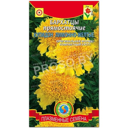 Бархатцы прямостоячие Купидон лимонно-желтые