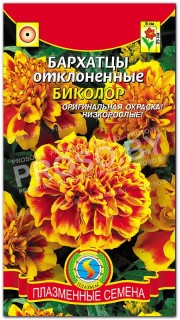 Бархатцы отклоненные Биколор