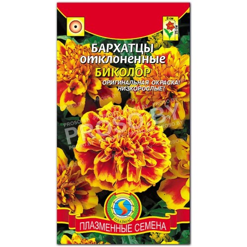 Бархатцы отклоненные Биколор