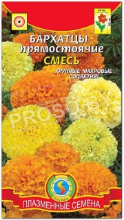 Бархатцы прямостоячие Смесь