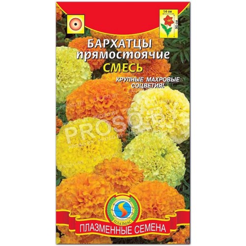 Бархатцы прямостоячие Смесь