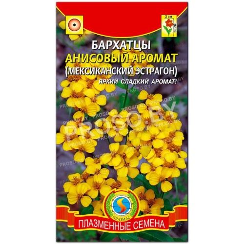 Бархатцы Анисовый аромат (мексиканский эстрагон)
