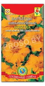 Бархатцы отклоненные Кокетка