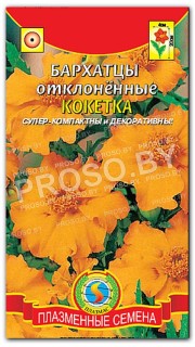 Бархатцы отклоненные Кокетка