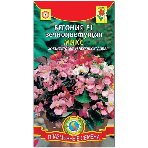 Бегония вечноцветущая Микс F1