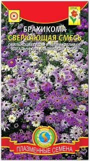 Брахикома Сверкающая смесь
