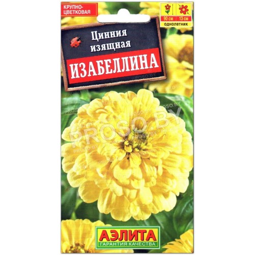 Цинния георгиновидная Изабеллина-1