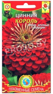 Цинния Король