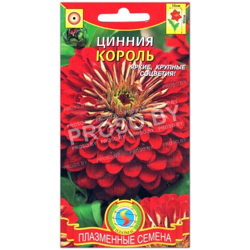 Цинния Король