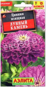 Цинния изящная Лунный камень