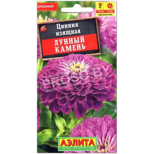 Цинния изящная Лунный камень