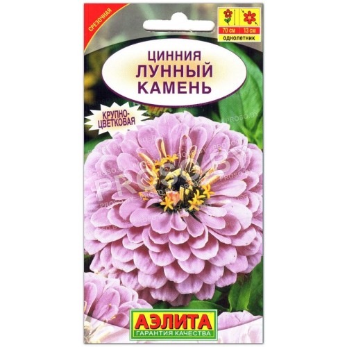 Цинния изящная Лунный камень-1