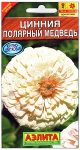 Цинния Полярный медведь