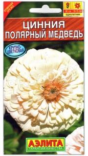 Цинния Полярный медведь