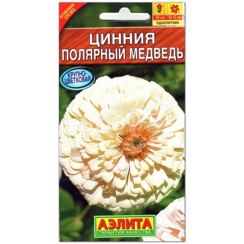 Цинния Полярный медведь
