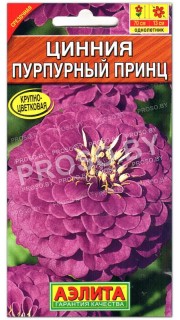 Цинния Пурпурный принц