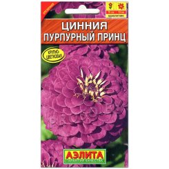 Цинния Пурпурный принц
