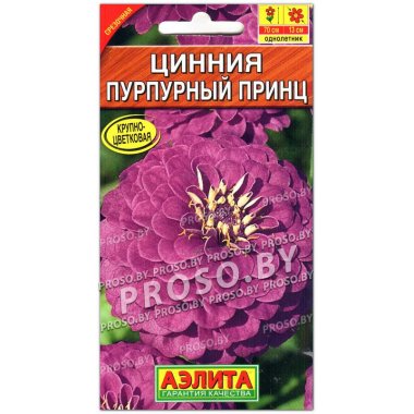 Цинния Пурпурный принц