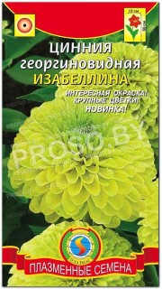 Цинния георгиновидная Изабеллина
