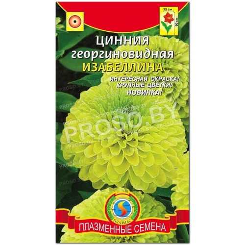 Цинния георгиновидная Изабеллина