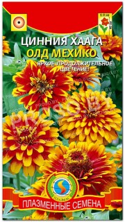 Цинния хаага Олд Мехико