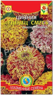 Цинния Леденец, смесь