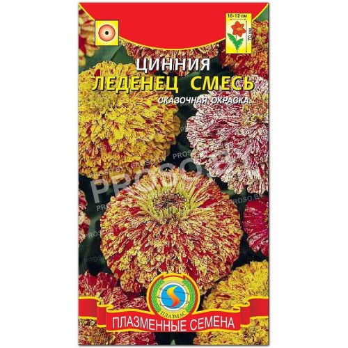 Цинния Леденец, смесь