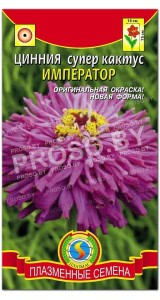 Цинния супер кактус (изящная) Император