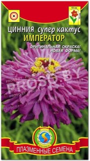 Цинния супер кактус (изящная) Император