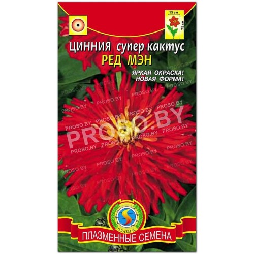 Цинния Ред мен