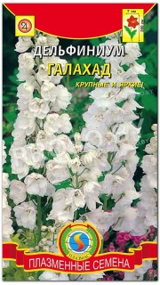 Дельфиниум Галахад