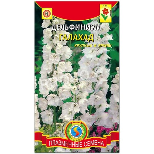 Дельфиниум Галахад