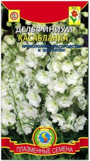 Дельфиниум Касабланка