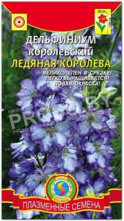 Дельфиниум королевский Ледяная королева