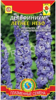 Дельфиниум Летнее небо