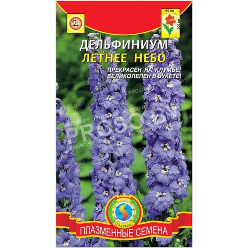 Дельфиниум Летнее небо