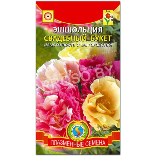 Эшшольция Свадебный букет