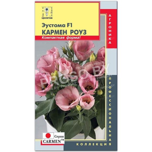 Эустома Кармен роуз (розе) F1, серия Carmen-1
