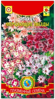 Флокс Мерцающие звезды